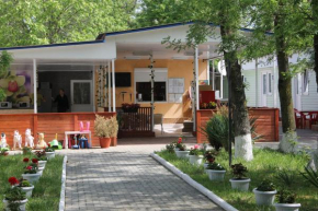 Baza Otdykha Cheryomushki